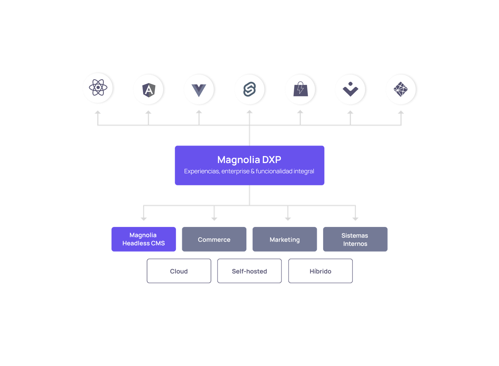 Magnolia DXP + Hábito 1